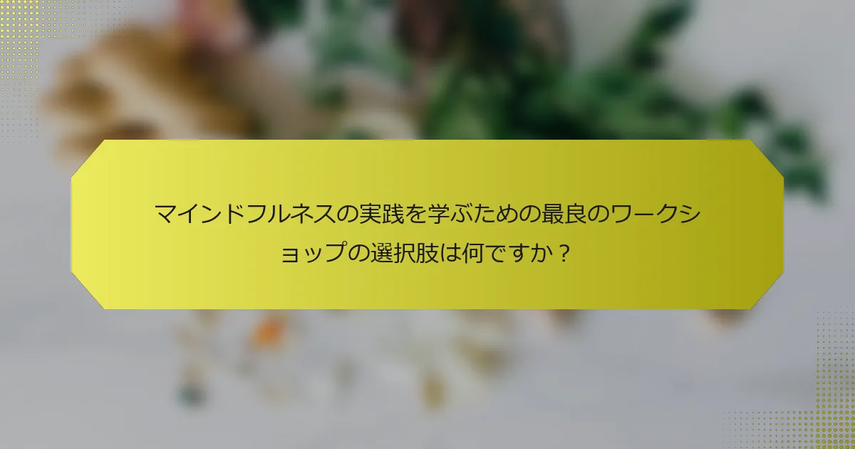 マインドフルネスの実践を学ぶための最良のワークショップの選択肢は何ですか？